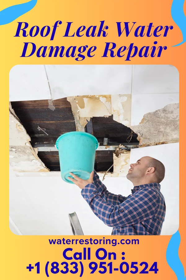 Roof Leak Water Damage Repair in Glenfield, ND