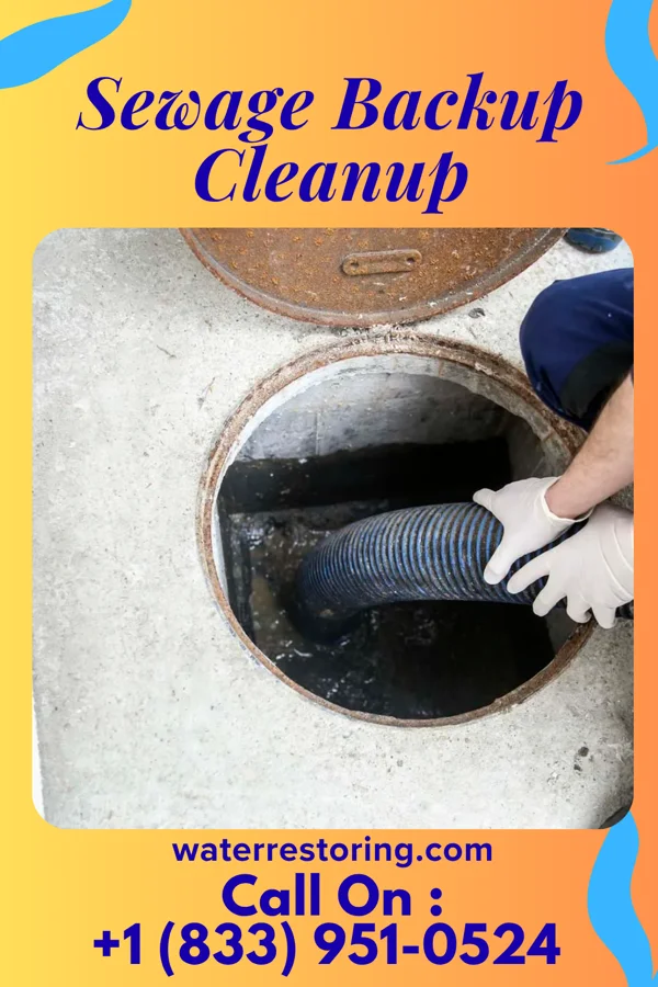 Sewage Backup Cleanup in Glenfield, ND